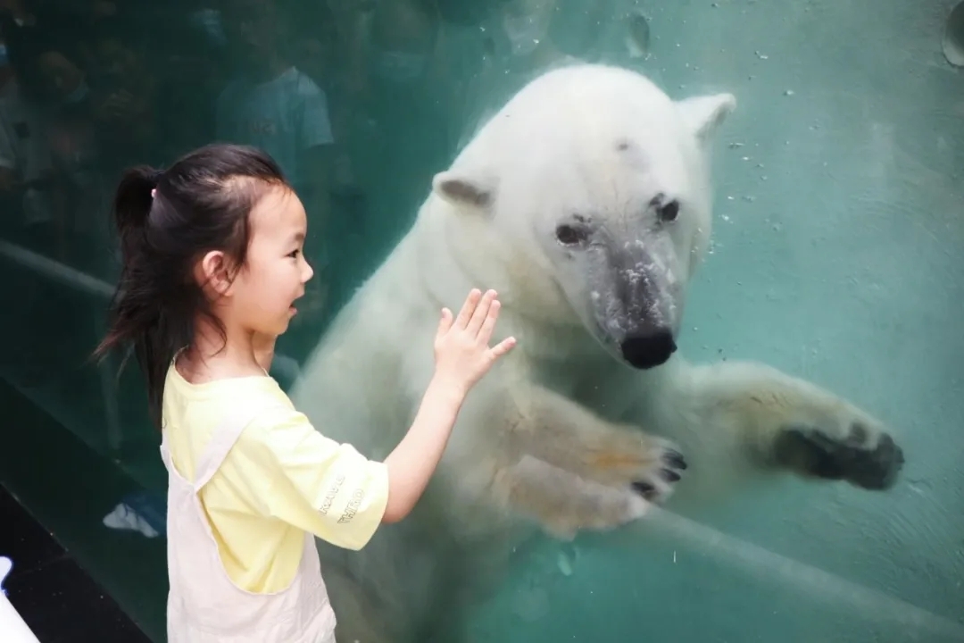 超值丨1大1小僅需258元，還送秦嶺野生動(dòng)物園親子票