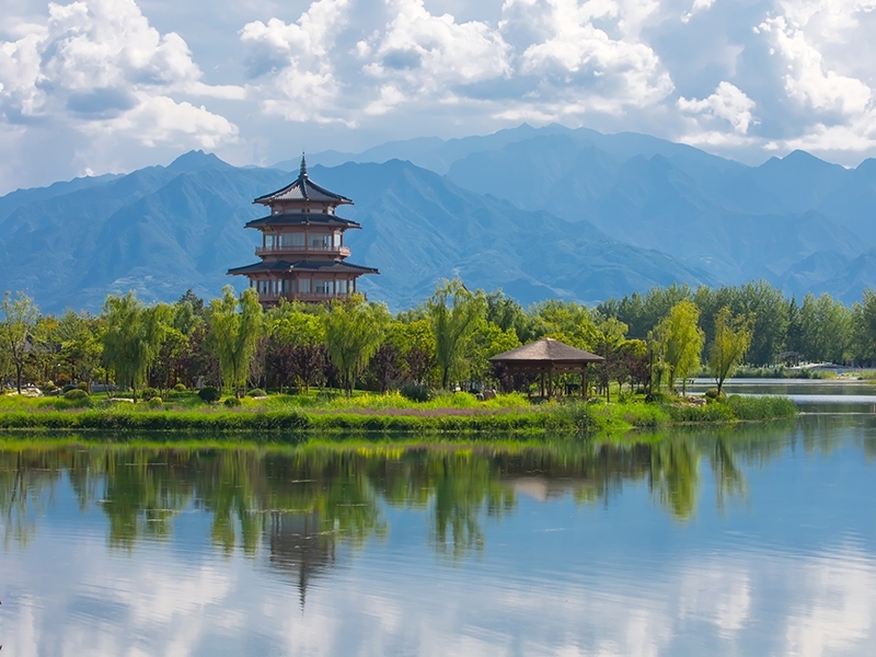 渼陂湖景區(qū)渼陽湖區(qū)域園林綠化養(yǎng)護(hù)項目招標(biāo)公告